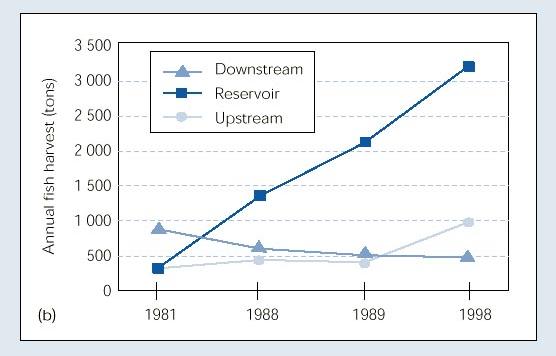 Historical fisheries productivity at Tucurui dam, Brazil.