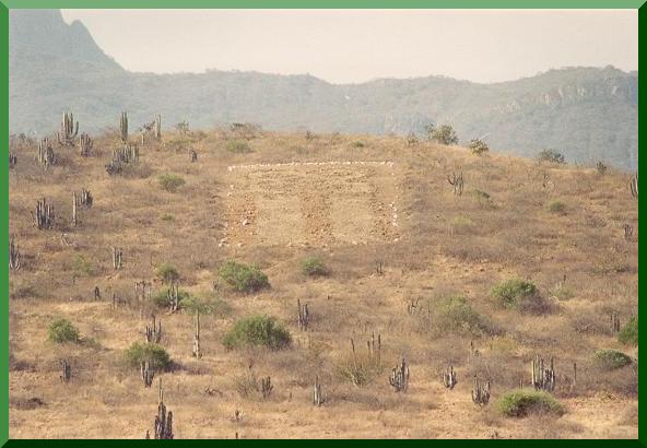 The Owl, near La Compuerta, Za�a valley, Lambayeque, Peru. 
