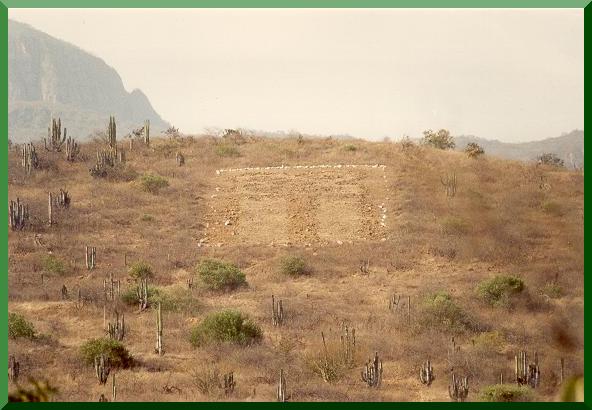 The Owl, near La Compuerta, Za�a valley, Lambayeque, Peru. 