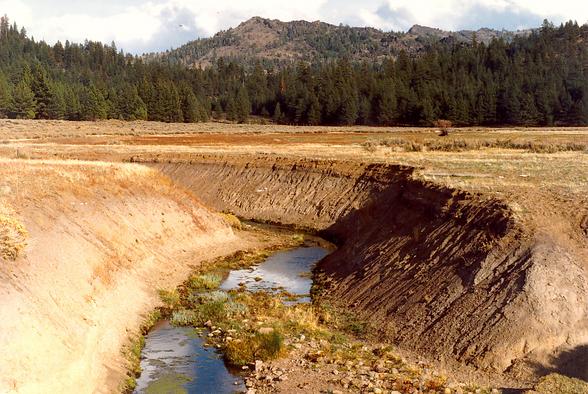 Dotta Creek, in the Feather river watershed, Northern California