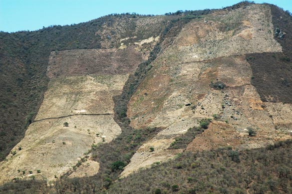 Deforestation in LOja province, Ecuador (2007)