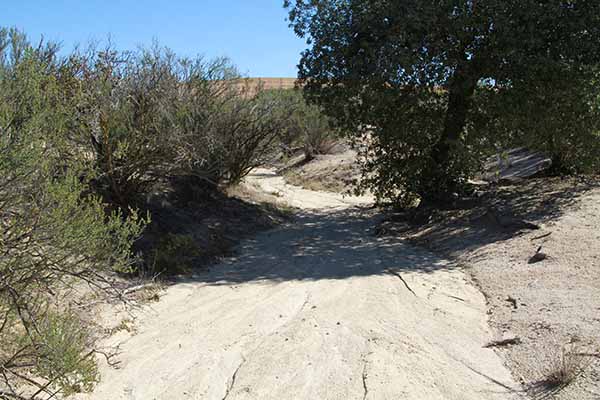 Cañada Seca Creek, near the U.S.-Mexico border, Baja California, Mexico (2013)