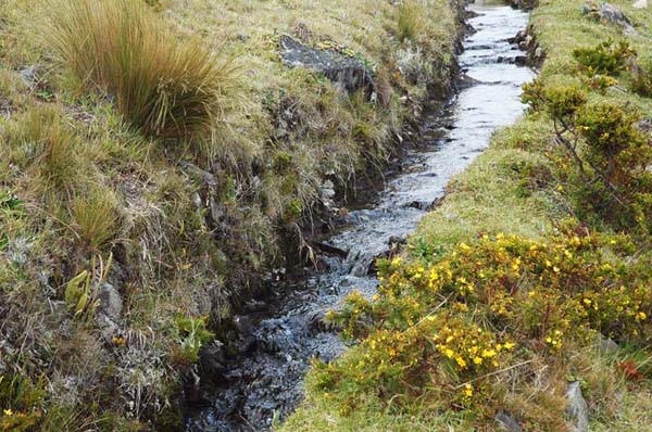 Hualtaco Canal, Lambayeque, Peru, c. 1500 A.D. (2008)