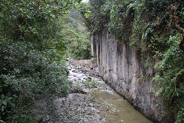 Rio San Francisco at San Francisco Scientific Station, Loja, Ecuador (2014)