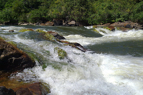 Roosevelt river at Pousada Senaúma, Pará, Brazil (L. C. Paggi)