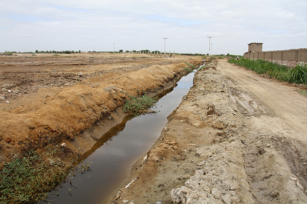 main drain at Mori Ranch, Pimentel, Lambayeque, Peru (2015)